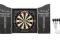 TARCZA DO DARTA WINMAU TED HANKEY 741