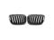 Grill BEZ ZNACZKA TUNING BMW X5 E53 04-06 czarny