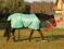 Derka przeciw owadom Emma 115-155cm koni