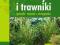 Trawy i trawniki. Gatunki, uprawa, pielęgnacja - E