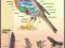 Ptaki budowa anatomiczna plansza dydaktyczna HIT