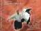 Aikido od A do Z - Vol.1 DVD