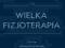 Wielka fizjoterapia T 1 wyd I polskie Śliwiński