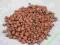 HYDROPONIKA granulat ceramiczny 4-8 50l keramzyt
