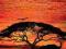 AFRICAN SUNSET ADDRESS BOOK: LARGE PRINT Roni
