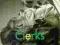 CLERKS: SCREENPLAY (FF CLASSICS) Kevin Smith