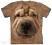 Big Face Shar Pei Puppy - The Mountain @ L