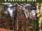 WOODLAND MANAGEMENT: A PRACTICAL GUIDE Chris Starr