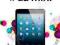 MY IPAD MINI (MY...SERIES) Gary Rosenzweig