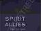 SPIRIT ALLIES: MEET YOUR TEAM FROM THE OTHER SIDE