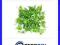 Roślina sztuczna Grape Ivy Mat Small Komodo