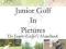 JUNIOR GOLF IN PICTURES: JUNIOR GOLFER'S HANDBOOK