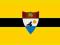 Flaga Liberland Liberlandia 85x125