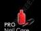 PRO NAIL CARE: SALON SECRETS OF THE PROFESSIONALS