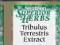 SWANSON TRIBULUS TERRESTRIS EXTRACT 60 TESTOSTERON