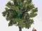 Drzewo Owocowe 4,5cm do Makiet Dioram NOCH 28510