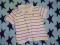 GAP POLO PASKI  MIŚ 18-24 M
