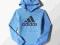 Bluza adidas Essentials Logo Hoodie Junior r. 152