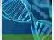 TESTY GENETYCZNE 145 MARKERÓW (BADANIA DNA)