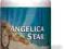 ANGELICA STARLIFE 60 KPS. RÓWNOWAGA HORM. + GRATIS