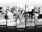 Obrazy Obrazy Sport Rowery Kolarstwo 150cmx80cm