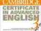 Cambridge Certificate in Advanced English 3