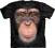 NOWOŚĆ! Chimp Face Szympans - The Mountain @ XL