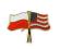 Przypinka pin wpinka POLSKA USA Stany Zjednoczone