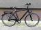 Raleigh Blackline 1.0 HS Shimano Nexus Lumotec 22'