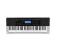 CASIO CTK-4400 KEYBOARD + KURIER NISKIE RATY