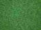 Sztuczna trawa wykładzina GARDEN podkład: granulat