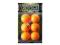 Piłeczki ping-pong 60 sztuk REDOX pomarańczowe
