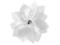 2 Kotyliony Kwiatki biały wesele ślub KBS6-008a
