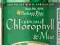 CHLOROPHYLL MINT MIETA 100 TABLETEK PP