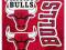 Licencjonowany zestaw magnesów Chicago Bulls NBA