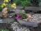 Łupek ścieżkowy kamień dekoracyjny ogrodowy łupki