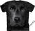 Czarny Labrador - THE MOUNTAIN -Black Lab Face-XXL