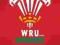 Wales R.U (Crest) - plakat, plakaty 61x91,5 cm