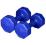 Gymstick vinyl dumbbells- Hantle niebieskie 2x5kg