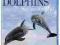 Dolphins Spy in the Pod [Blu-ray]
