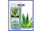 WOSK 100ml * ALOES *SUPER NACRE ARCOCERE