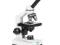 Mikroskop Delta Optical BioStage II 40x-100x KTW