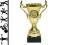 Puchar Trofeum Nagroda Proffesional