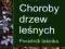 Choroby drzew leśnych diagnostyka ochrona