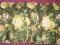lambrekin w kwiatowym wzorze, tkanina 145 x 54 cm
