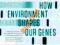 Richard C. Francis Epigenetics How Environment Sha