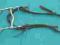 OGLOWIE,WEDZIDLO,LEJCE. HEADSTALL. USA. Lot #2