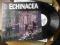 Echinacea prod Kixnare Roux Spana feat Eldo OSTR