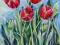 Tulipany czerwone _ kwiaty_ obraz autorski 30x60