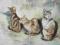 Oryginalny Obraz Akrylowy 3 Podwórkowe Koty Kotki